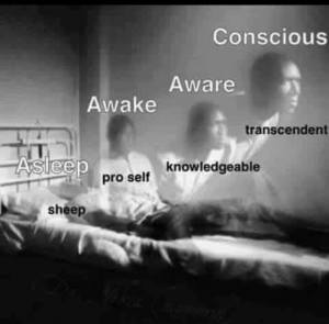 15319129_1130324257043623_5959450208189726718_n