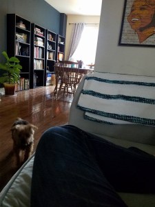 22050235_1972275646382724_6168306699210905034_n